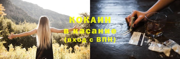 мяу мяу мука Баксан