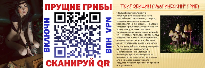 Псилоцибиновые грибы Cubensis  ОМГ ОМГ ссылки  Слободской 